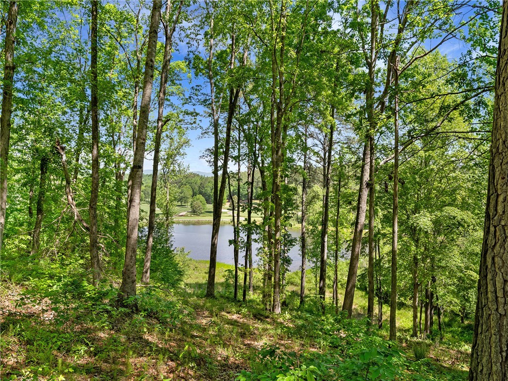 Lot 75 Eagle Ridge Way, Salem, South Carolina image 7