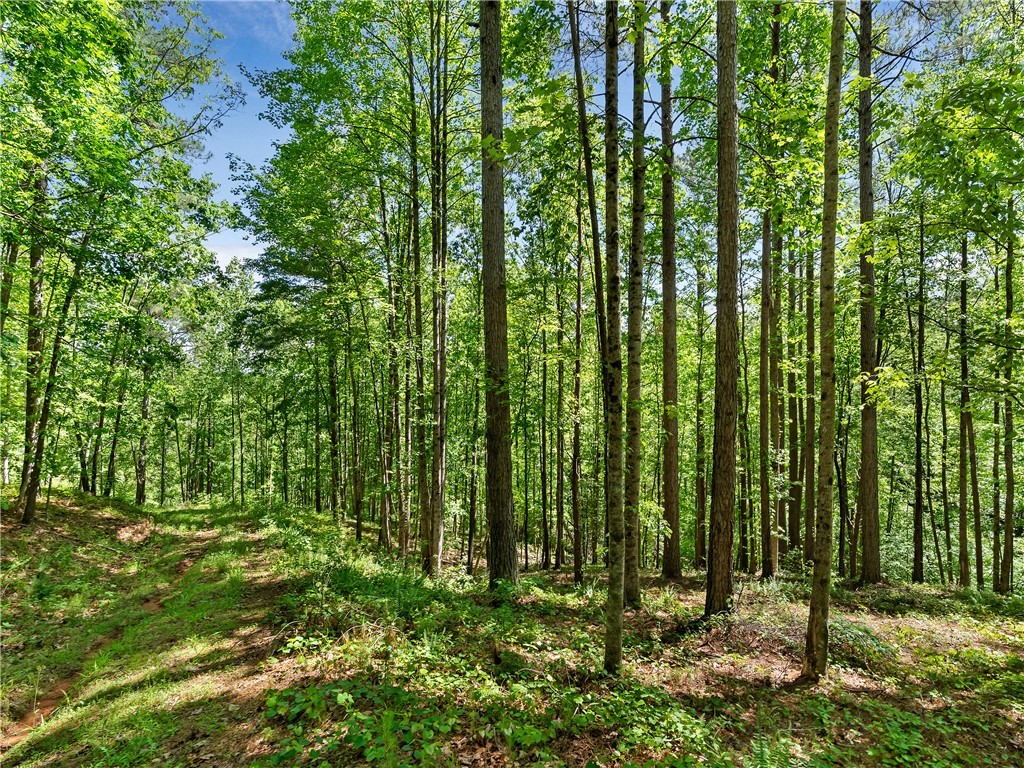 Lot 75 Eagle Ridge Way, Salem, South Carolina image 14