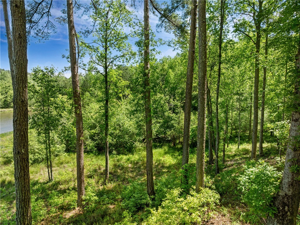 Lot 75 Eagle Ridge Way, Salem, South Carolina image 9