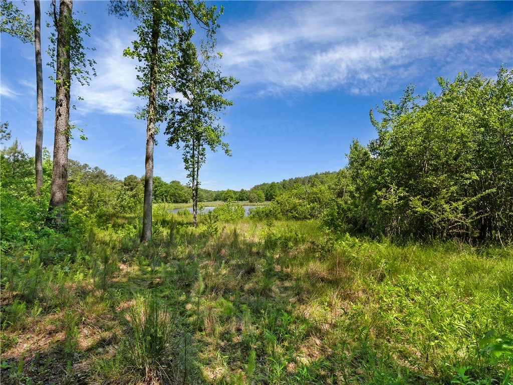 Lot 75 Eagle Ridge Way, Salem, South Carolina image 13