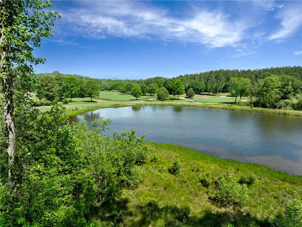 Lot 75 Eagle Ridge Way, Salem, South Carolina image 5