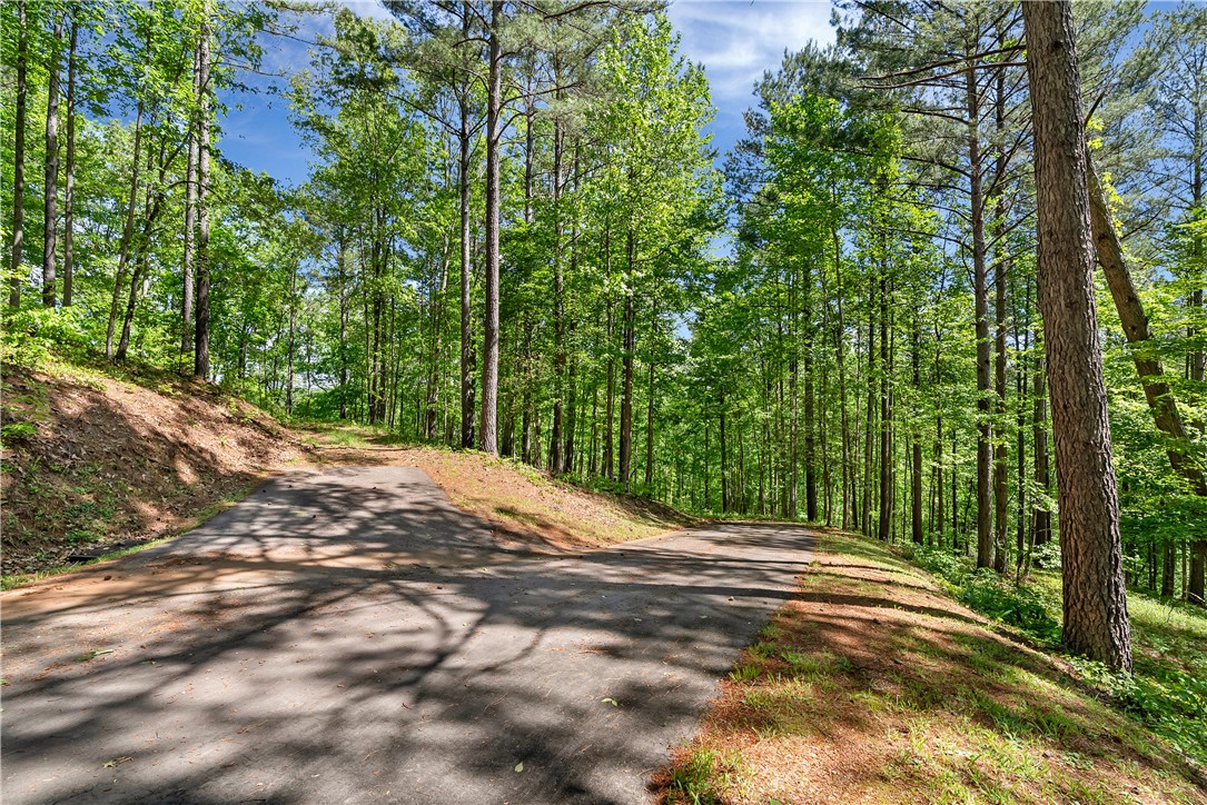 Lot 75 Eagle Ridge Way, Salem, South Carolina image 11