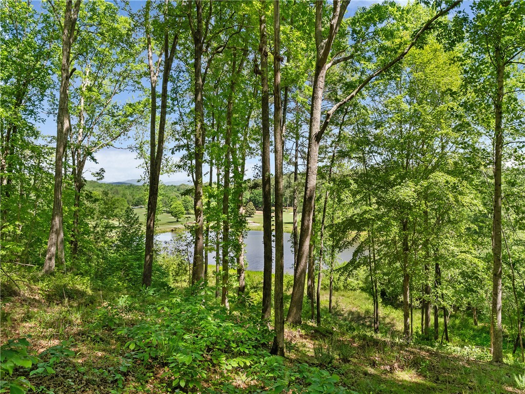 Lot 75 Eagle Ridge Way, Salem, South Carolina image 6