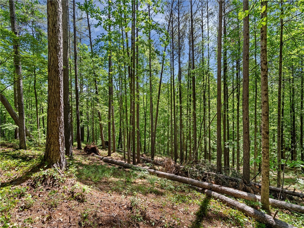 Lot 75 Eagle Ridge Way, Salem, South Carolina image 15