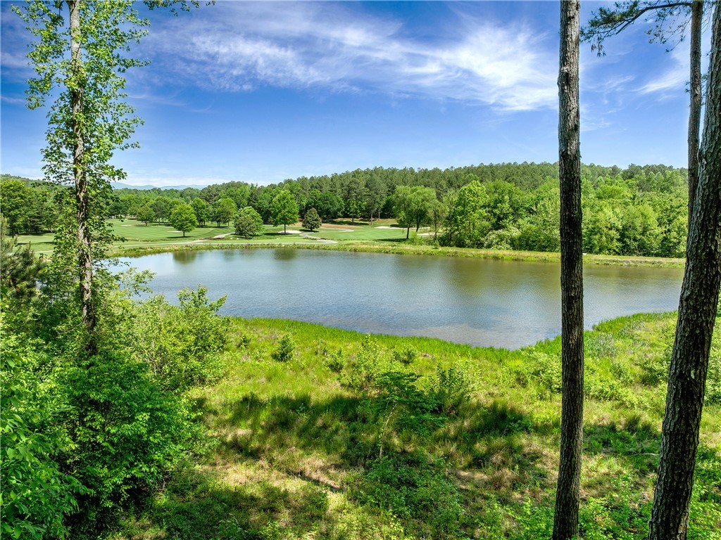 Lot 75 Eagle Ridge Way, Salem, South Carolina image 2