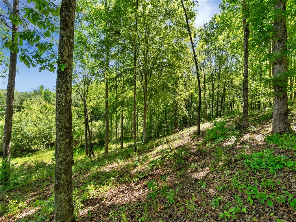 Lot 75 Eagle Ridge Way, Salem, South Carolina image 12