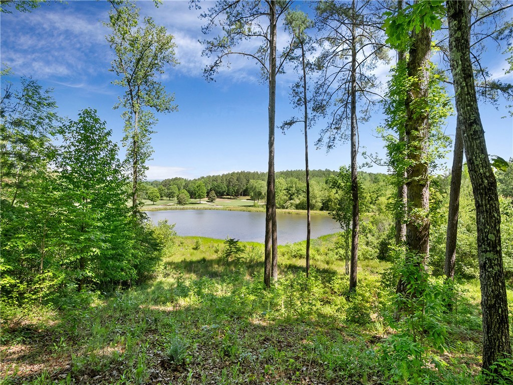 Lot 75 Eagle Ridge Way, Salem, South Carolina image 8
