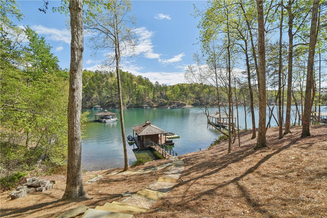 311 S Cove Road, Sunset, South Carolina image 45