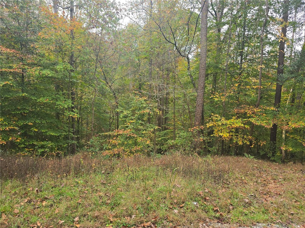 00 Sequoia Trail, Westminster, South Carolina image 1