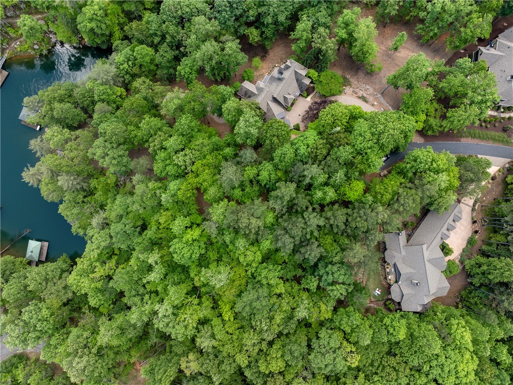 703 Misty Dawn Court, Salem, South Carolina image 14