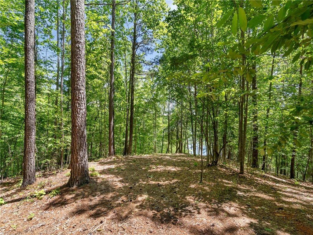 703 Misty Dawn Court, Salem, South Carolina image 7