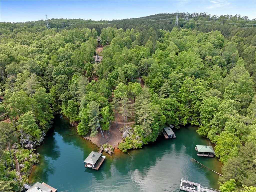 703 Misty Dawn Court, Salem, South Carolina image 10