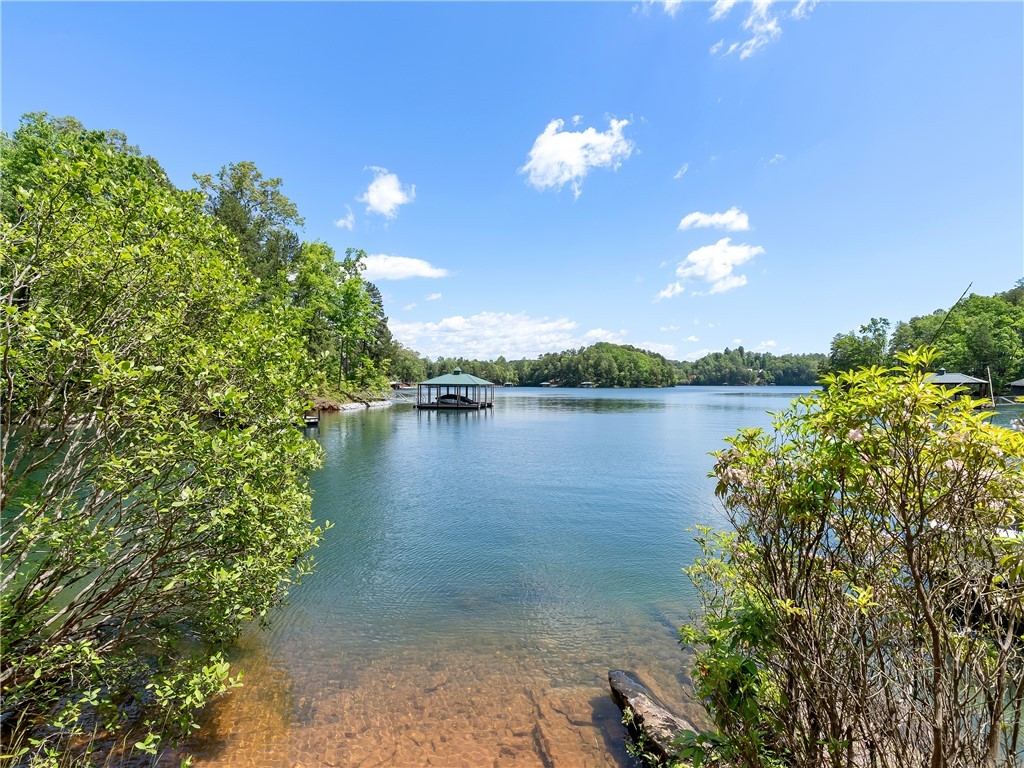 703 Misty Dawn Court, Salem, South Carolina image 2