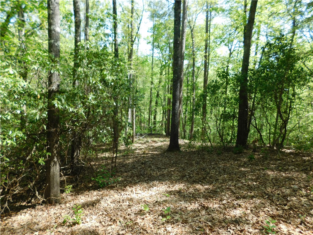 103 Jenkins Place, Clemson, South Carolina image 2