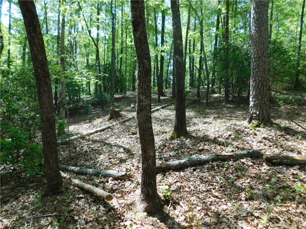 103 Jenkins Place, Clemson, South Carolina image 6