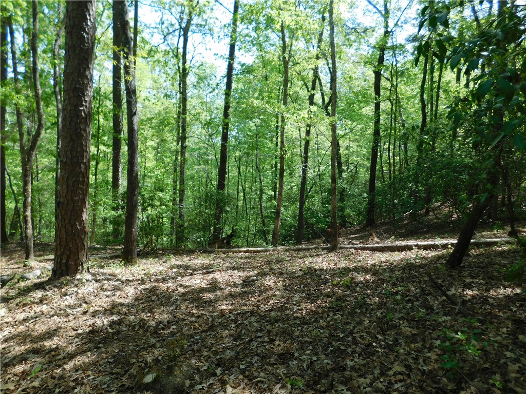 103 Jenkins Place, Clemson, South Carolina image 4