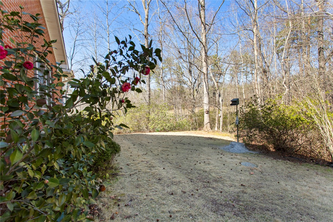 507 Springview Drive, Westminster, South Carolina image 40