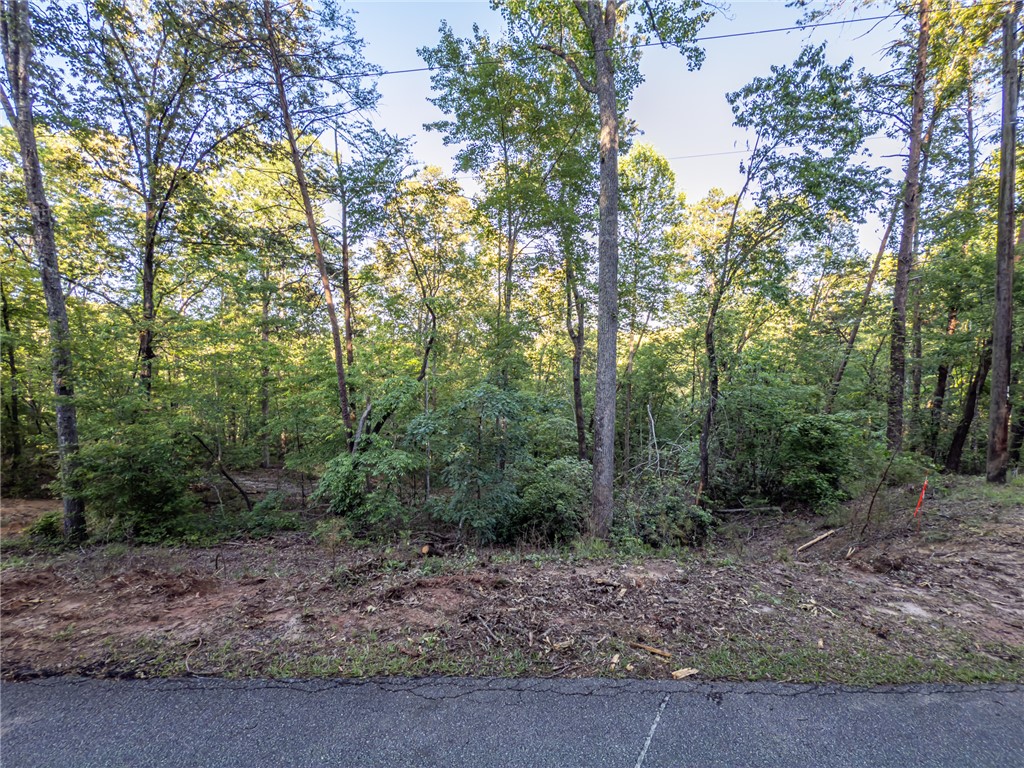 Lot 23 Old Shallowford Bridge Road, Sunset, South Carolina image 2