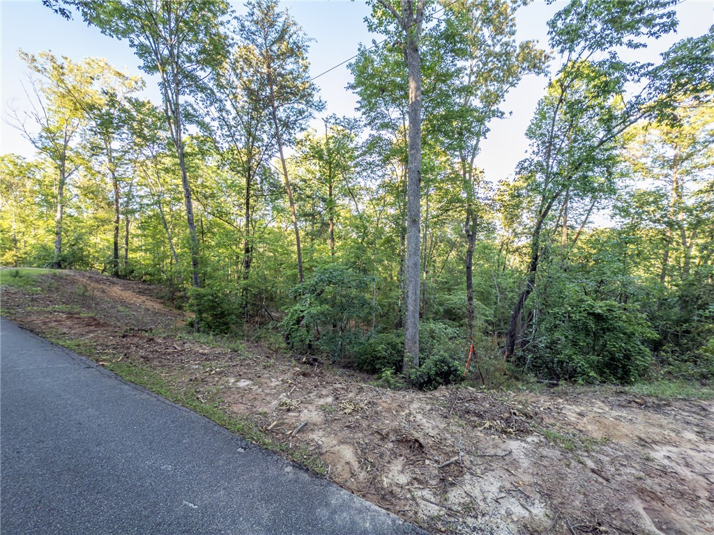 Lot 23 Old Shallowford Bridge Road, Sunset, South Carolina image 3