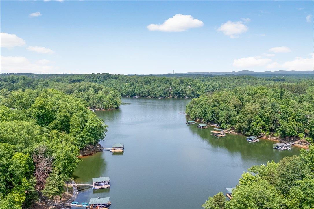503 Greystoke Cove, Seneca, South Carolina image 5