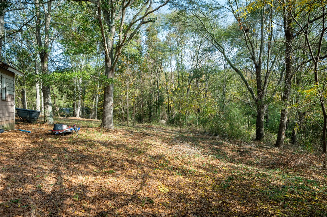1401 Lebanon Road, Pendleton, South Carolina image 18