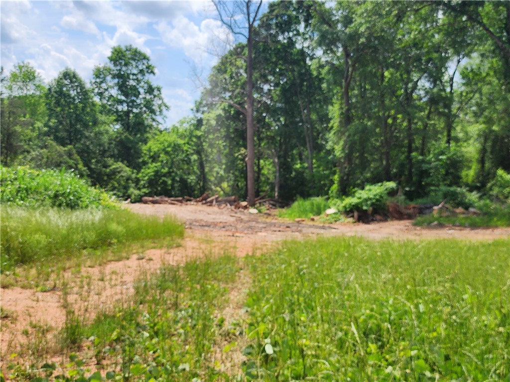 000 Squirrel Drive, Anderson, South Carolina image 4