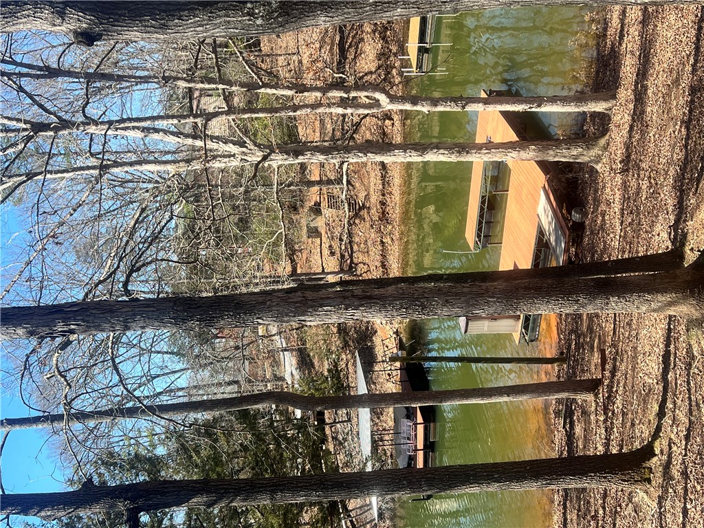 503 Lakewood Drive, Townville, South Carolina image 15