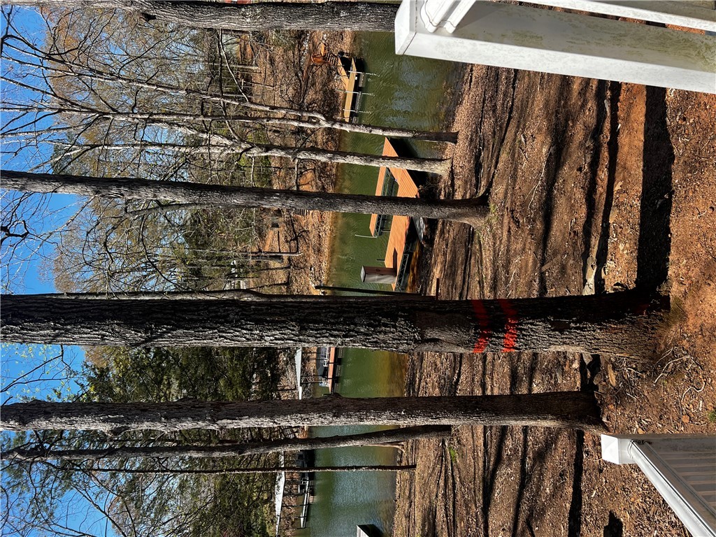 503 Lakewood Drive, Townville, South Carolina image 11