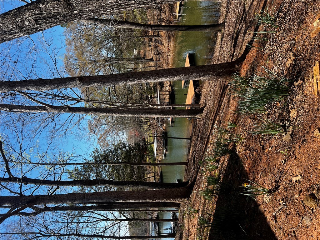 503 Lakewood Drive, Townville, South Carolina image 13