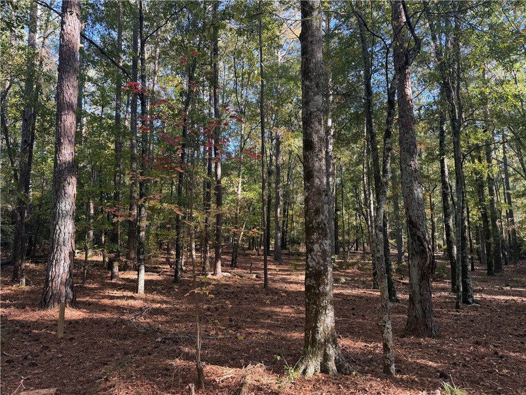 Tract E-2 George Bryant Road