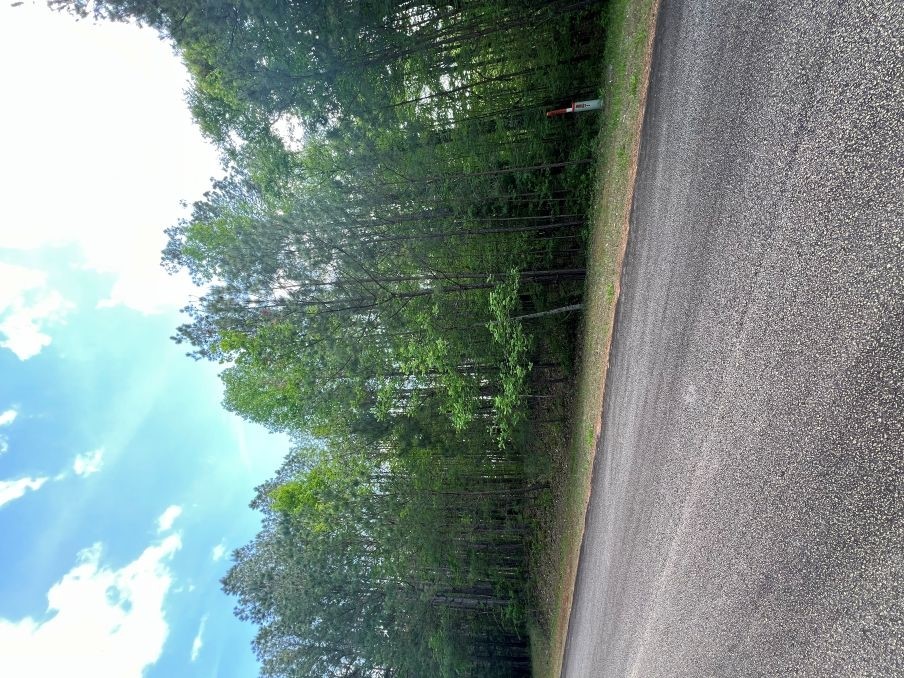 7 Southview Drive, Iva, South Carolina image 1