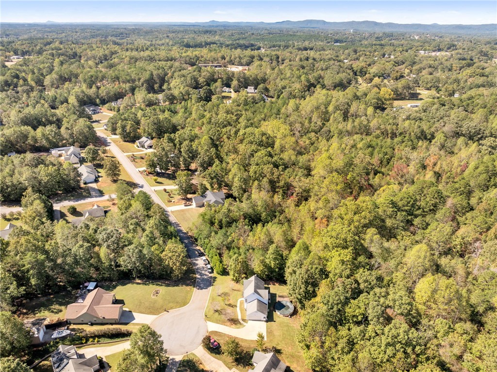 632 Revolutionary Drive, West Union, South Carolina image 30