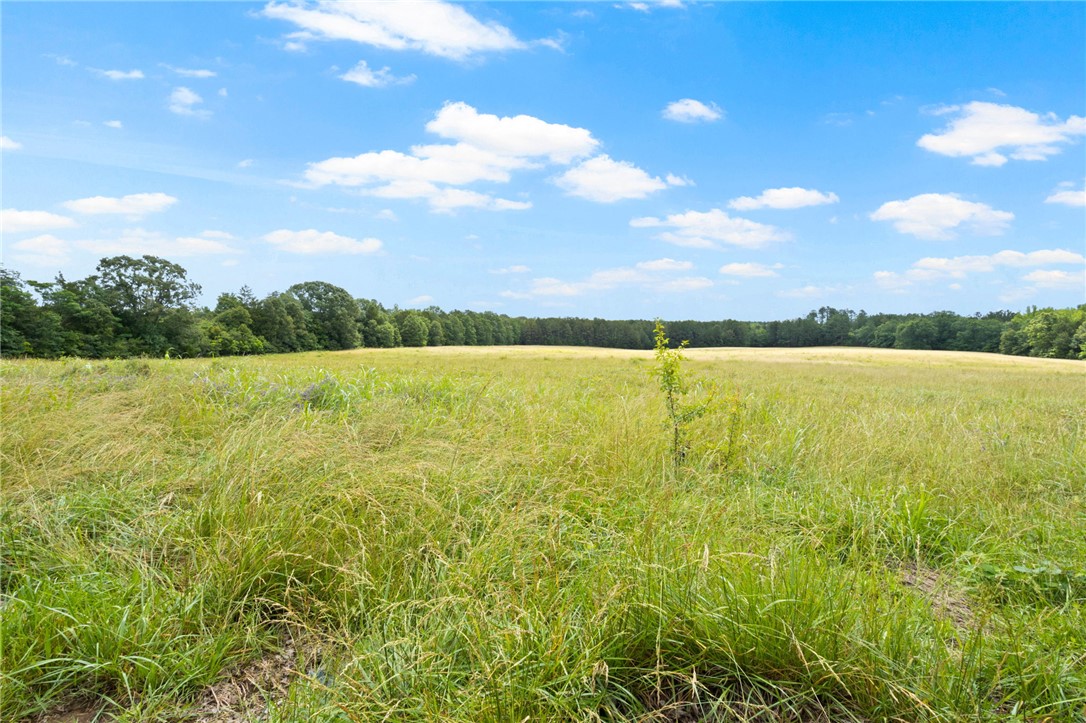 3400 Keowee Road, Honea Path, South Carolina image 2