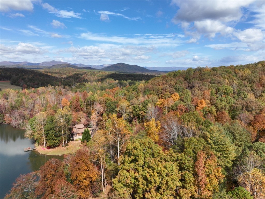 4 Piper Lane, Pickens, South Carolina image 15