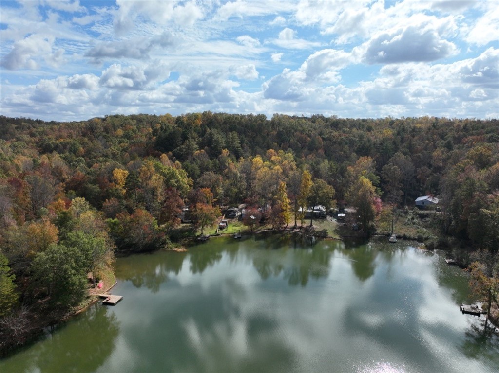 4 Piper Lane, Pickens, South Carolina image 16