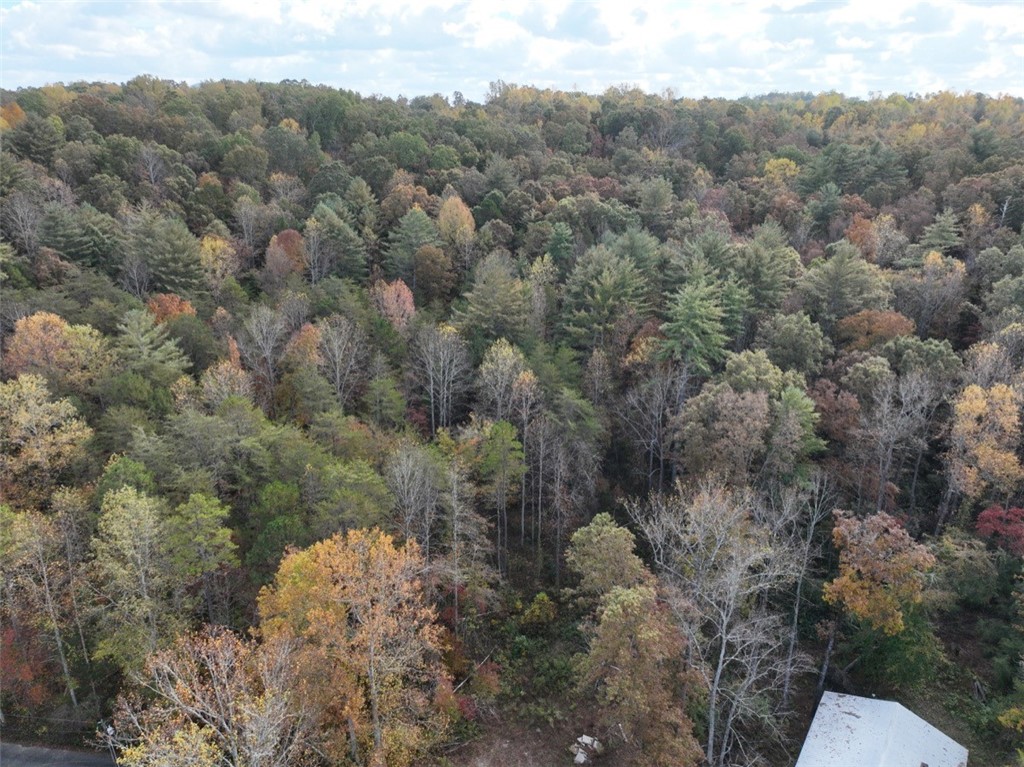 4 Piper Lane, Pickens, South Carolina image 18