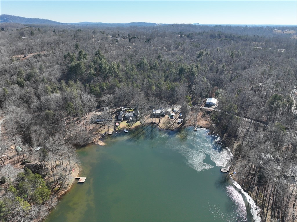 4 Piper Lane, Pickens, South Carolina image 2