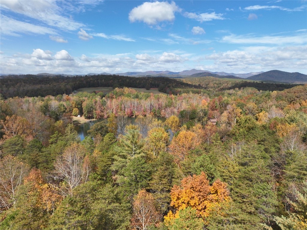 4 Piper Lane, Pickens, South Carolina image 12