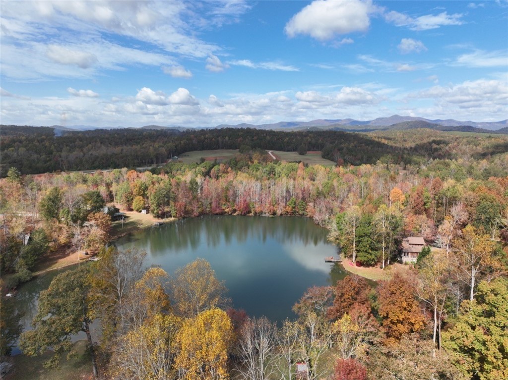 4 Piper Lane, Pickens, South Carolina image 14