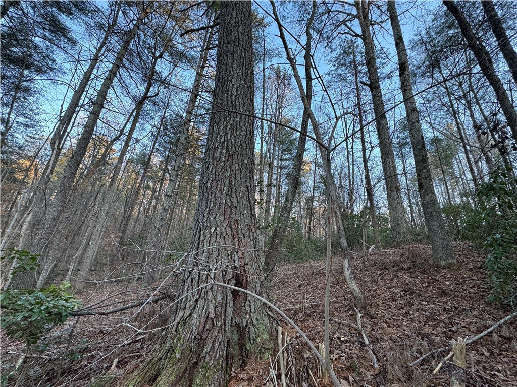 4 Piper Lane, Pickens, South Carolina image 20