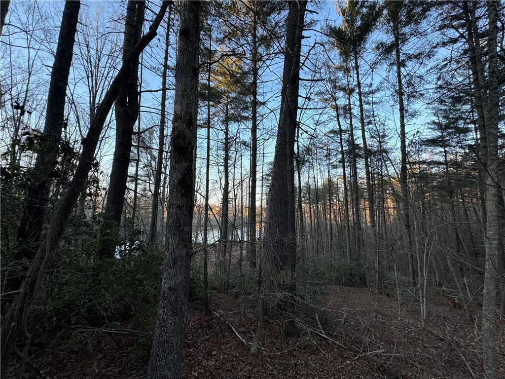 4 Piper Lane, Pickens, South Carolina image 22
