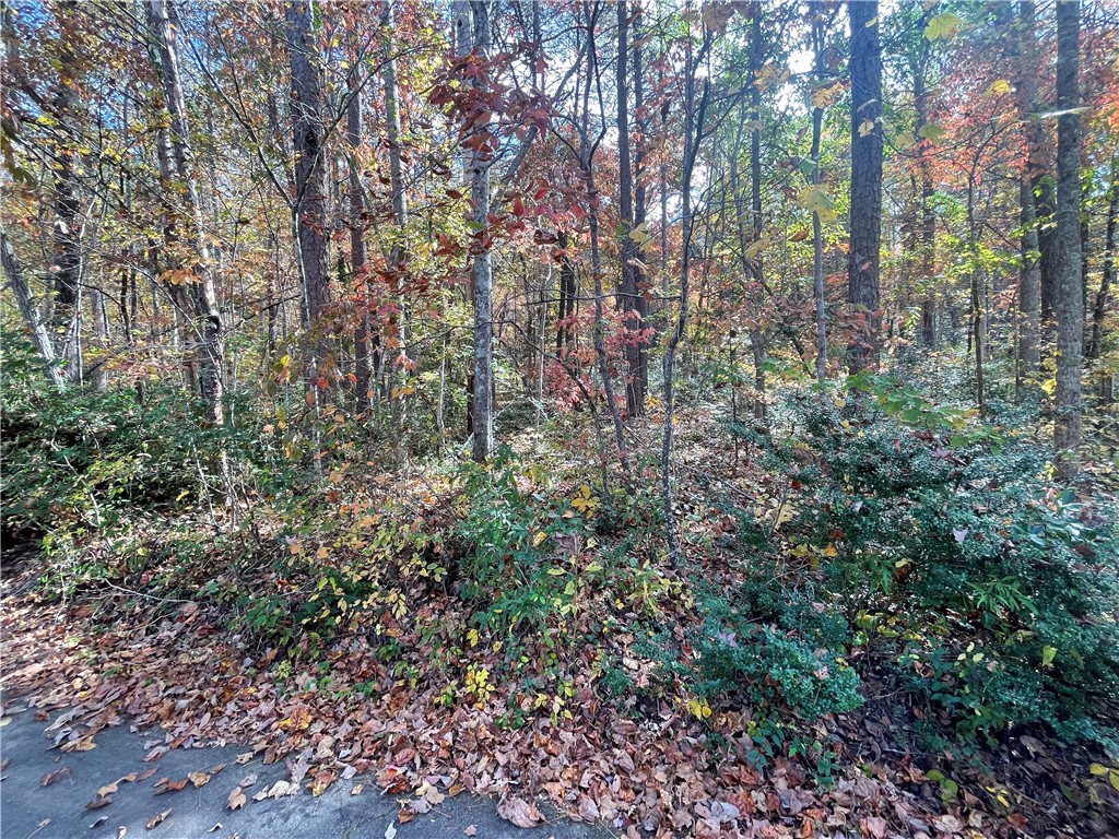 4 Piper Lane, Pickens, South Carolina image 5