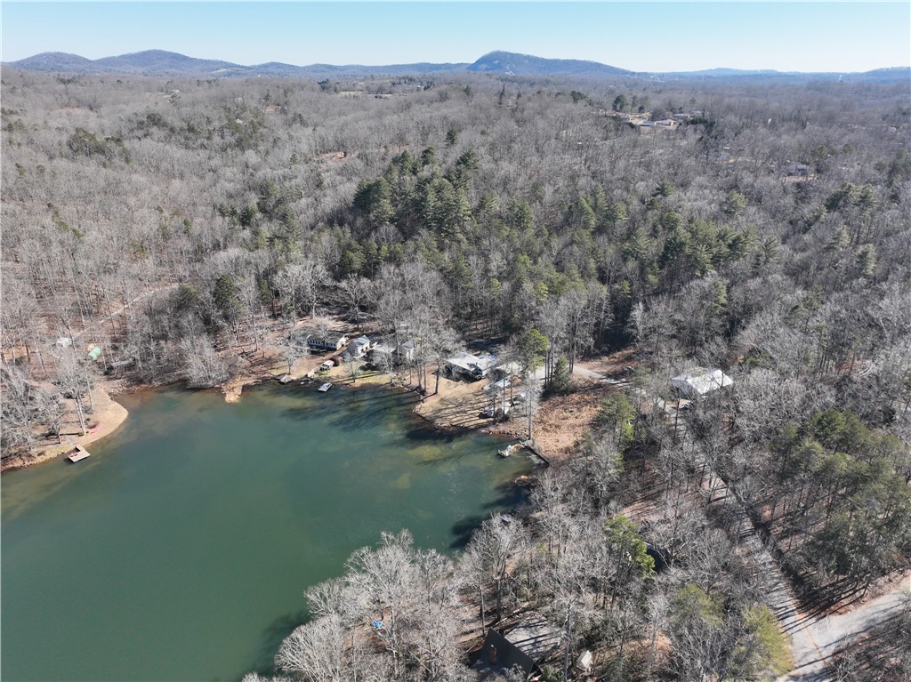 4 Piper Lane, Pickens, South Carolina image 4