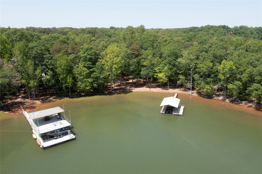 304 Paradise Circle, Townville, South Carolina image 45