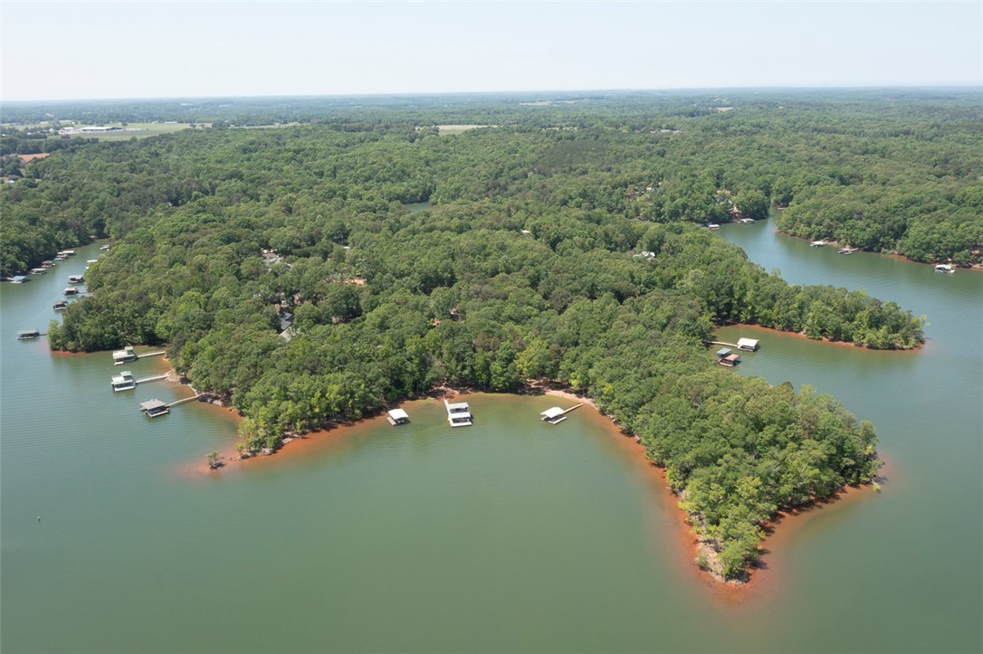 304 Paradise Circle, Townville, South Carolina image 47