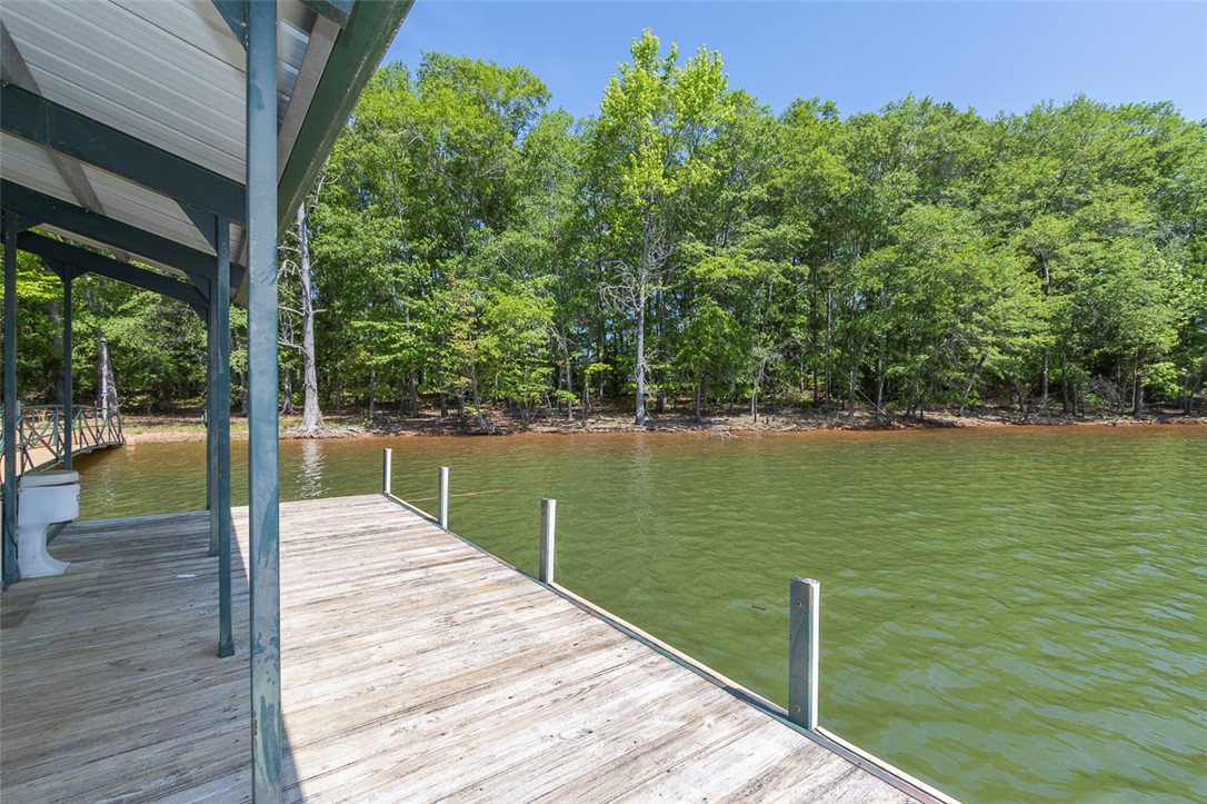 304 Paradise Circle, Townville, South Carolina image 42