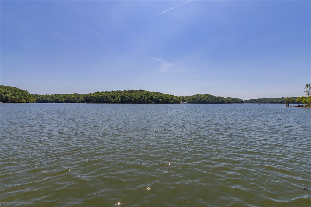 304 Paradise Circle, Townville, South Carolina image 41