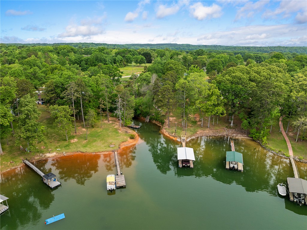 104 Cove Drive, Fair Play, South Carolina image 27