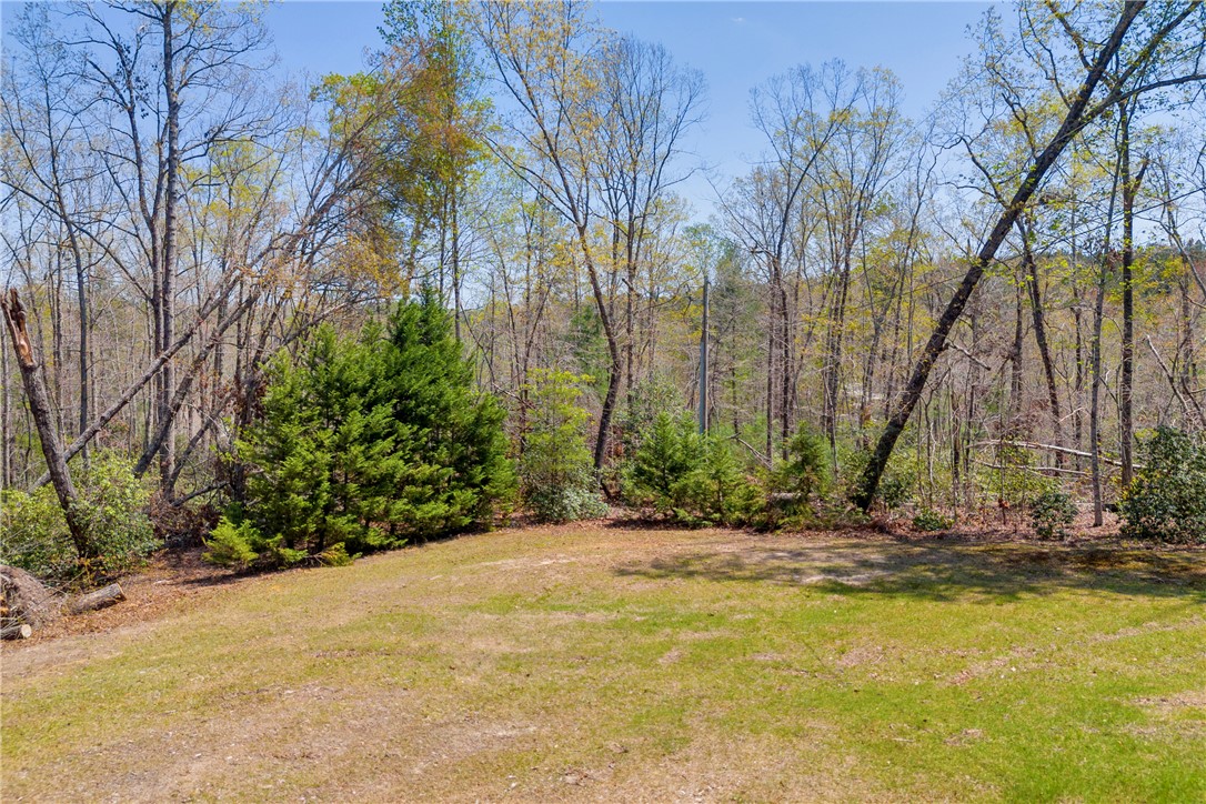 386 N Little River Road, Salem, South Carolina image 48