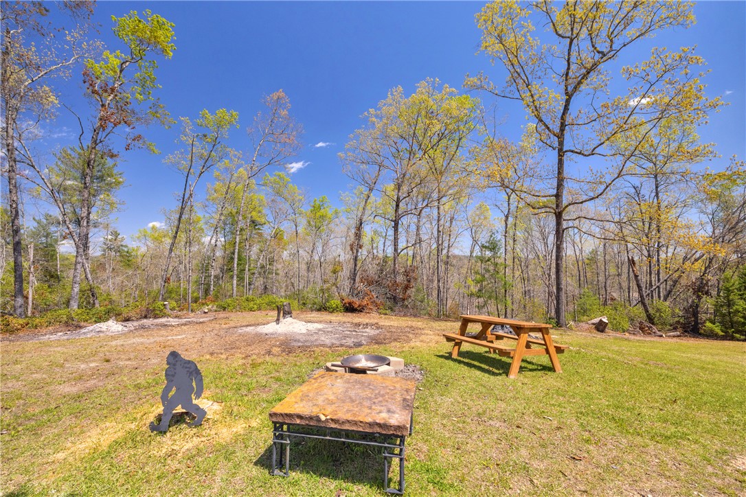 386 N Little River Road, Salem, South Carolina image 41